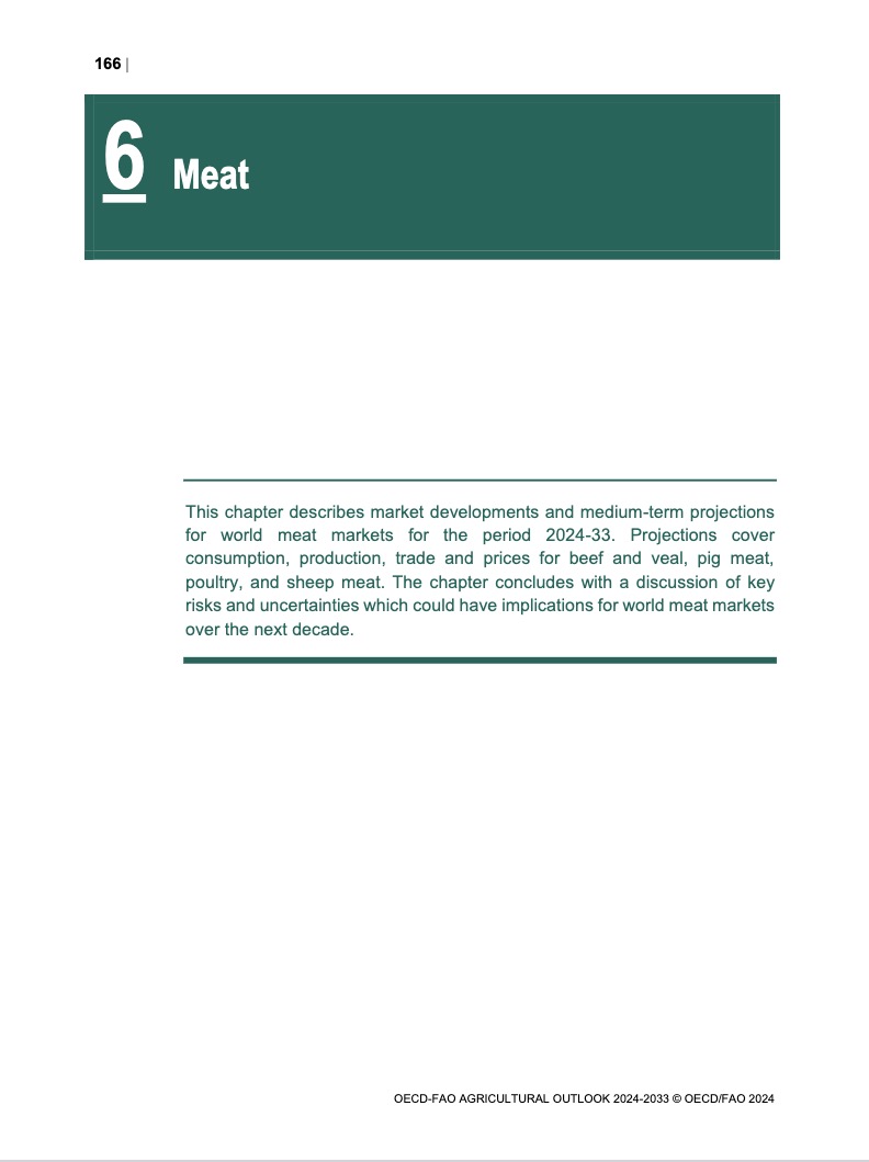 meat-2024-en
