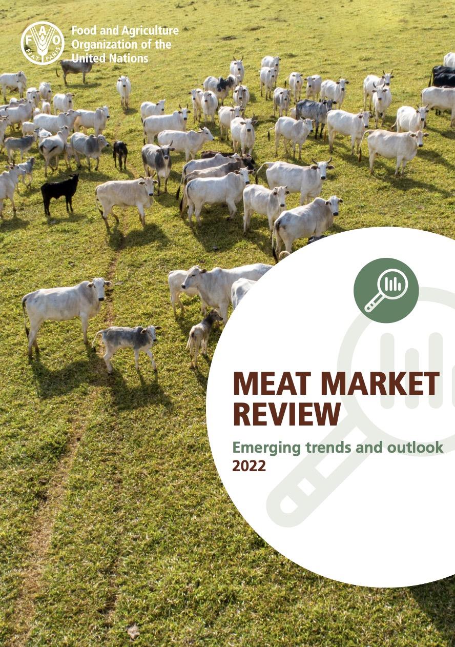 meat_market_review_2022