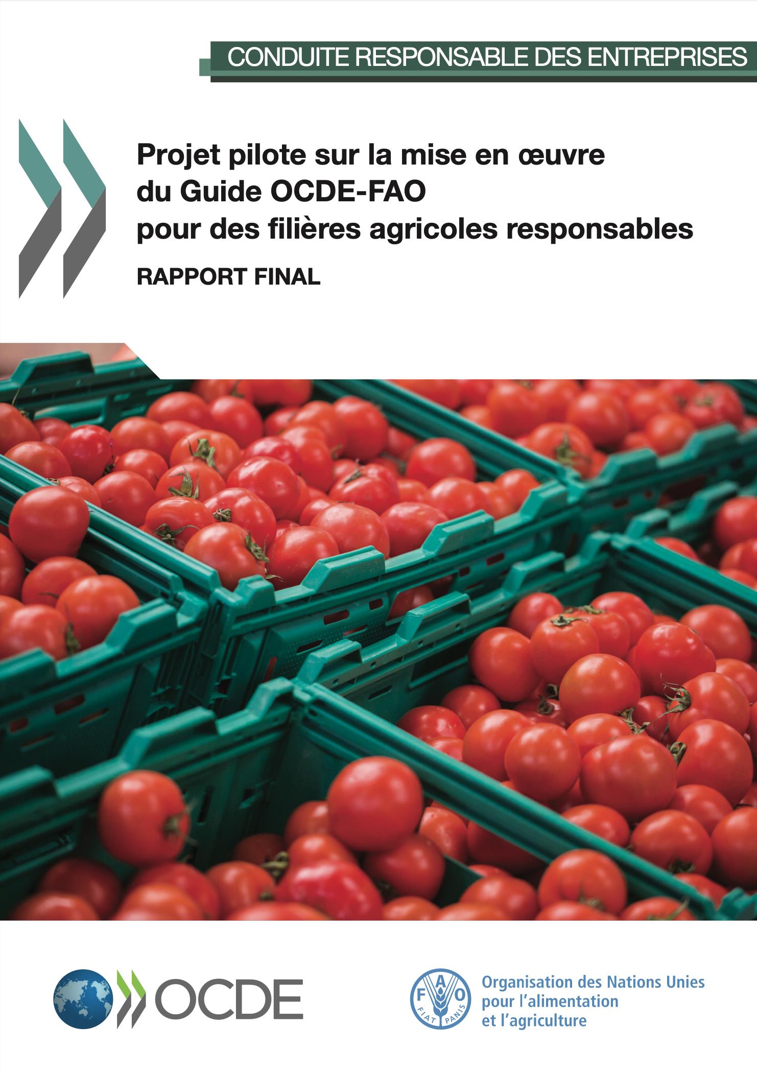 oecd_fr_2021_a