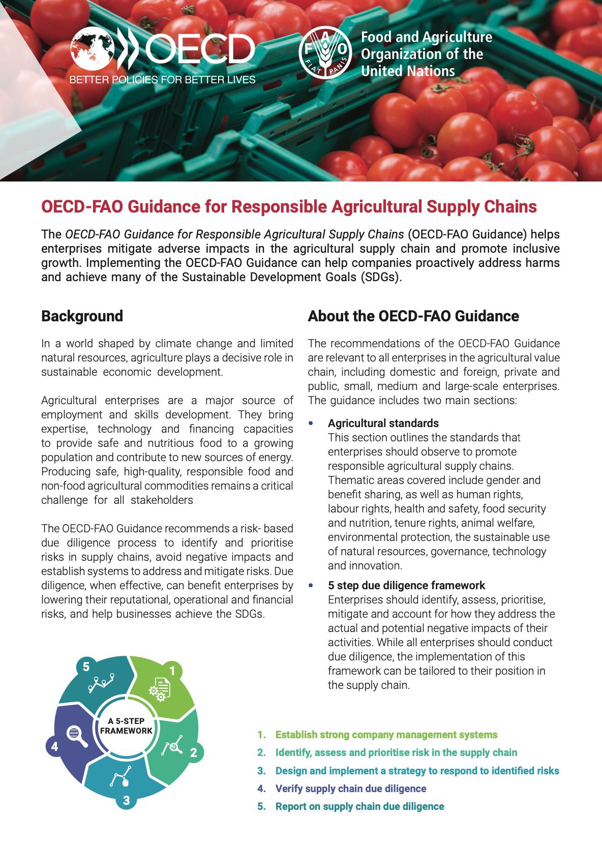 oecd_guidance_brochure