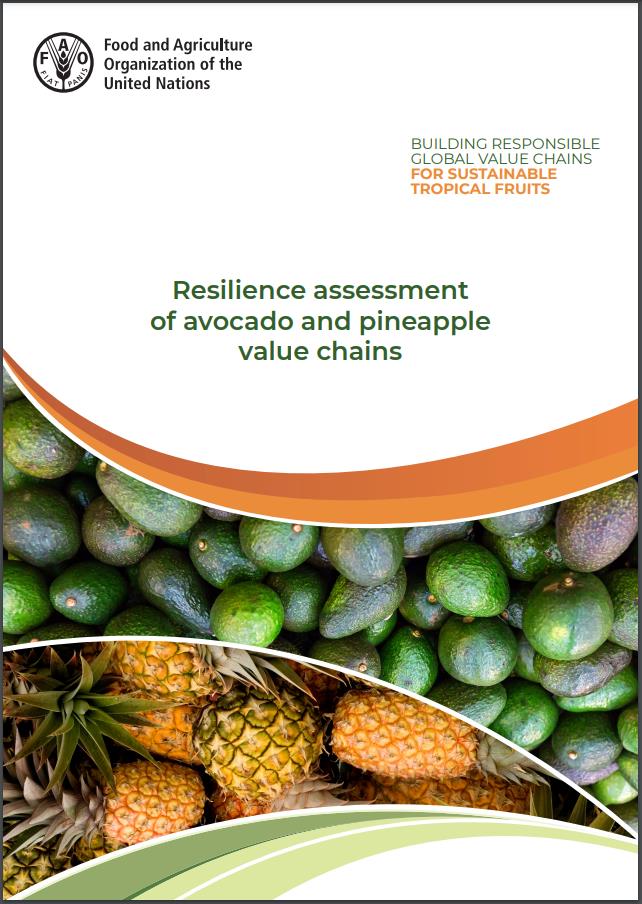 Resilience assessment EN