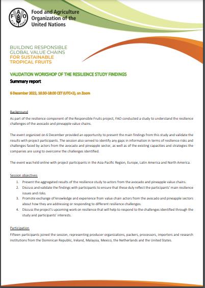 Resilience study summary report