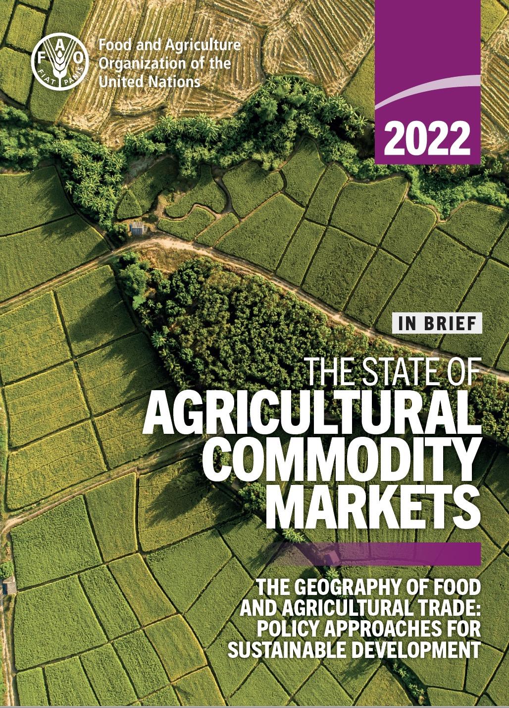 SOCO-2022-InBrief-EN