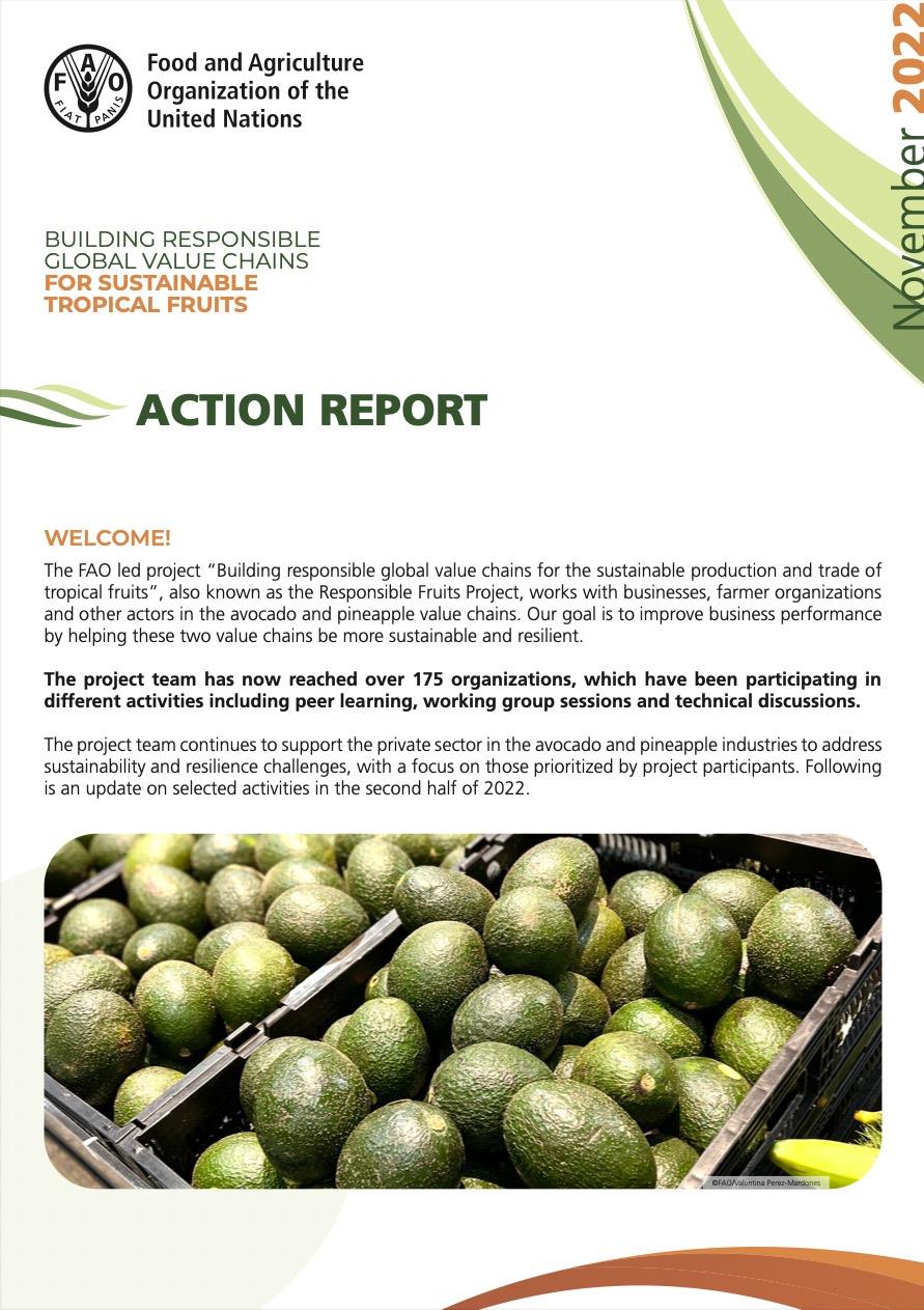 stf_action_report_nov_2022