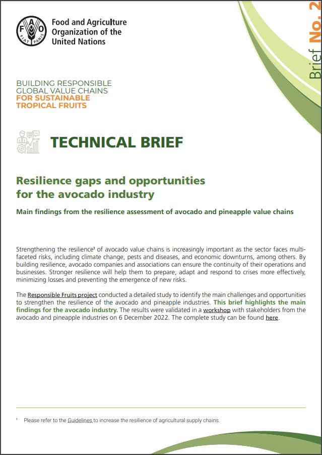 Technical Brief 2 EN