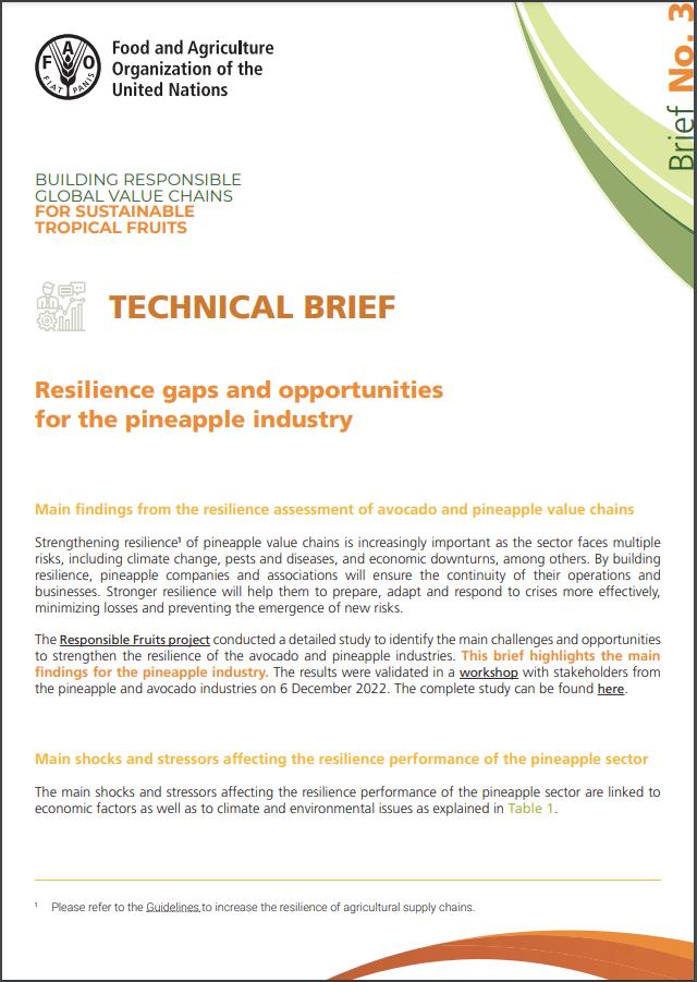 Technical Brief 3 EN