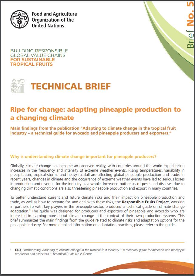 Technical Brief 5 EN