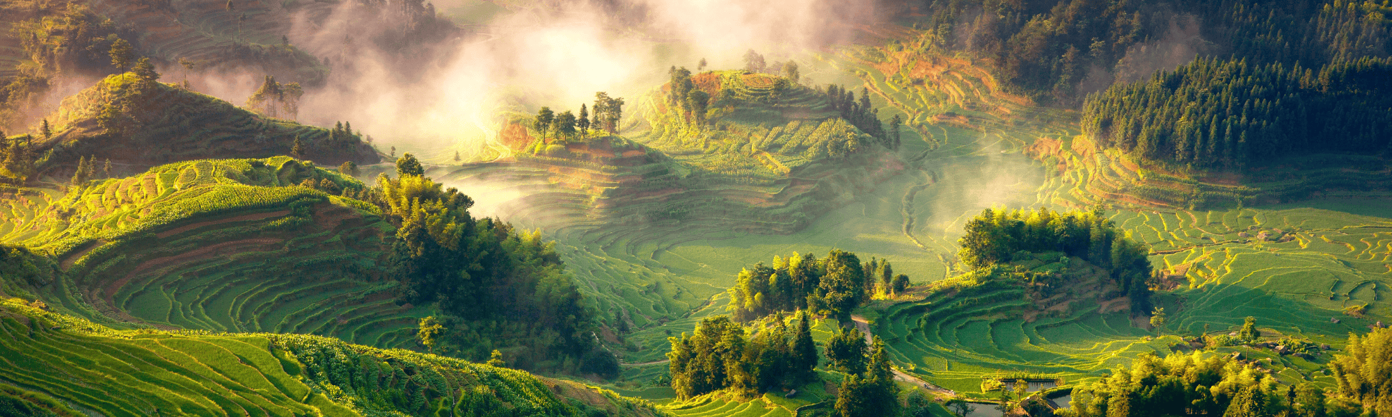 © Zhongshan Luo