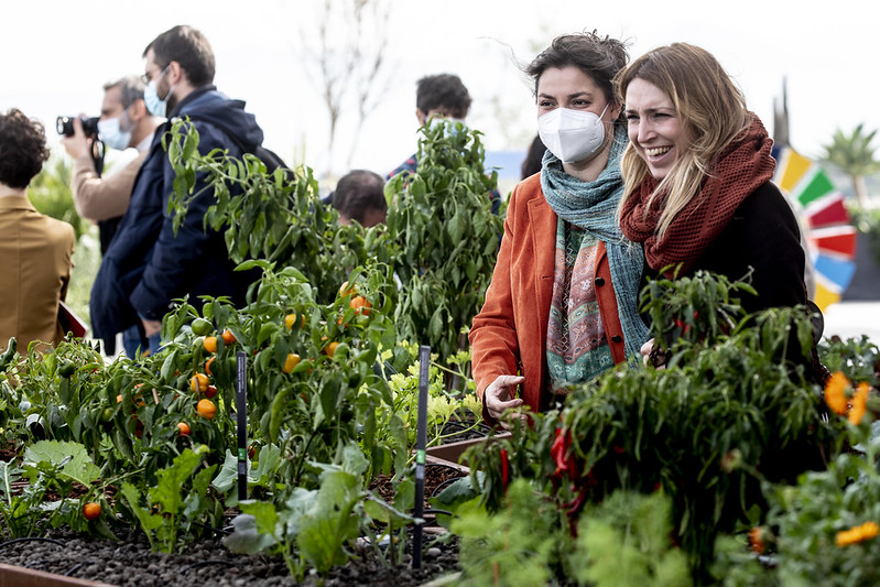 FAO rooftop garden visitors