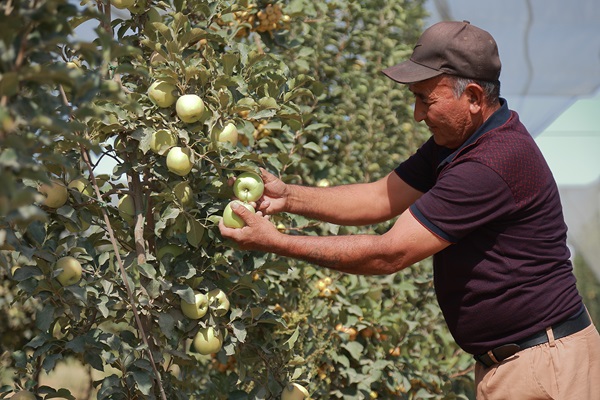 ©FAO/Lazizkhon Tashbekov