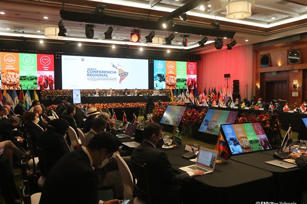 ©FAO/Max Valencia