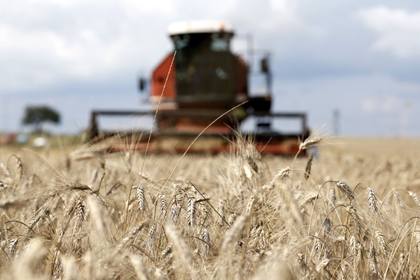 ©FAO/Alessia Pierdomenico