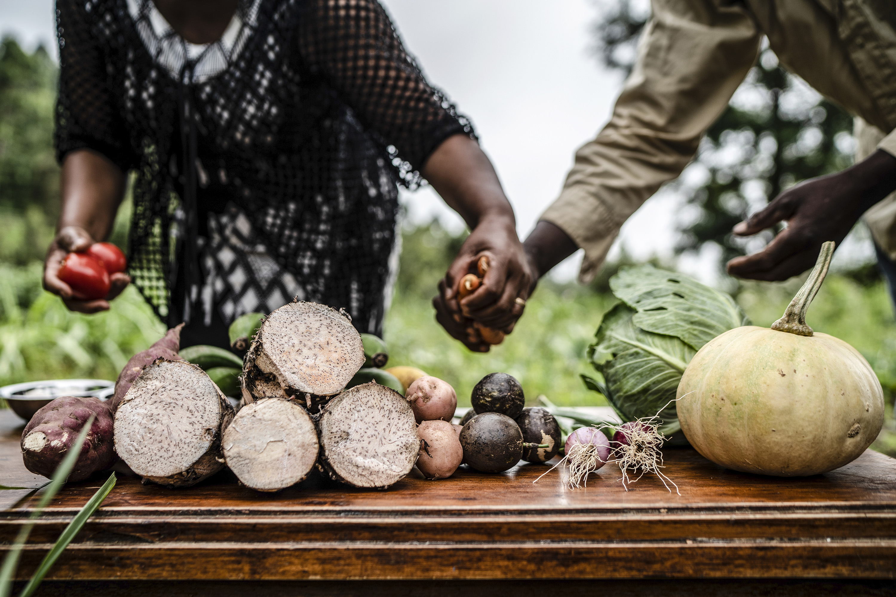 © FAO / Fredrik Lerneryd