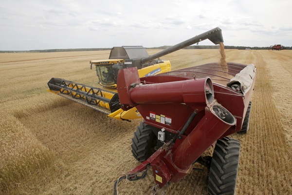 ©FAO/Anatolii Stepanov