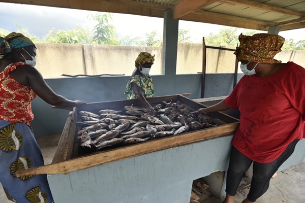 ©FAO/Sia Kambou