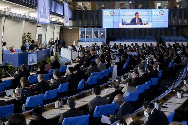 ©FAO/Alessandra Benedetti