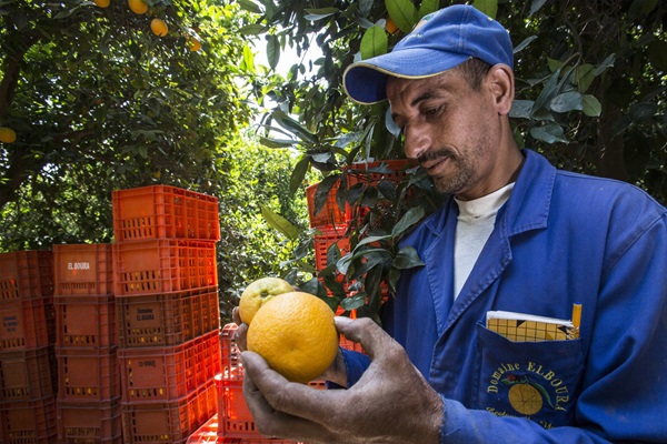 ©FAO/Alessandra Benedetti