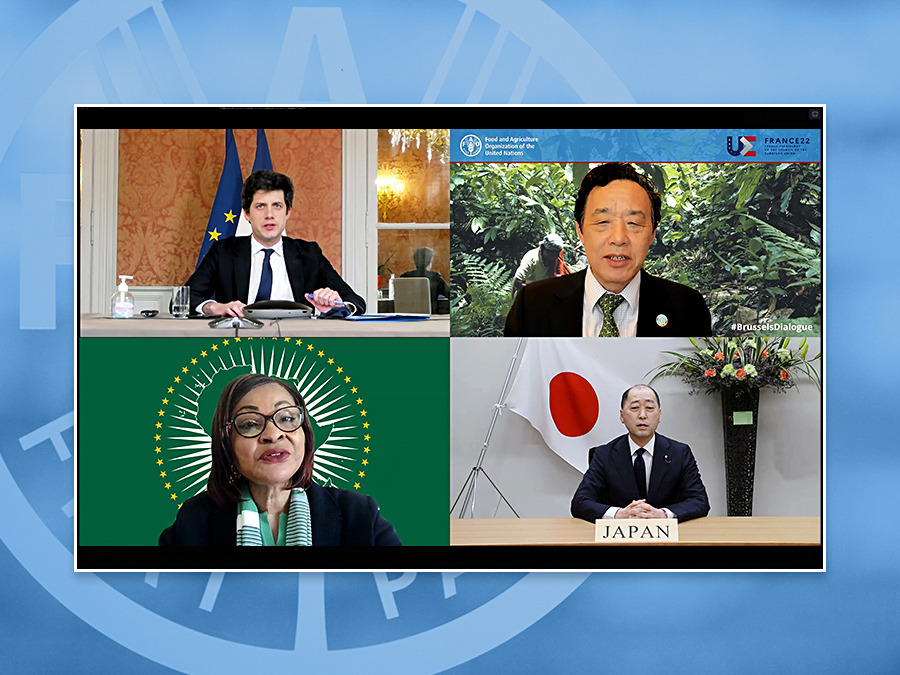 ©FAO / Giuseppe Carotenuto