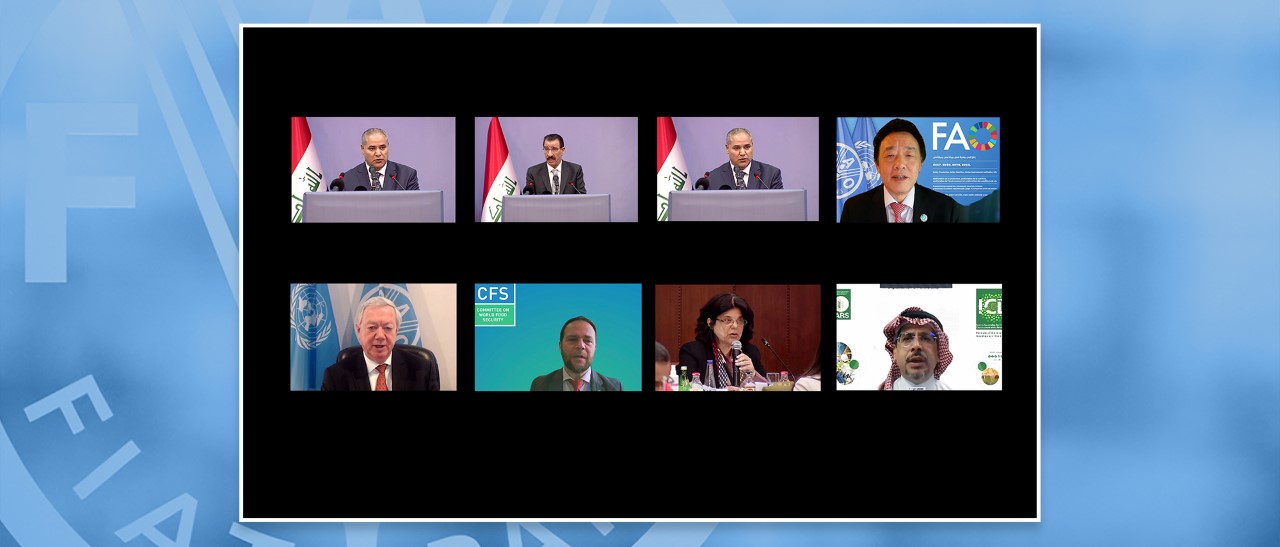 ©FAO/Alessandra Benedetti