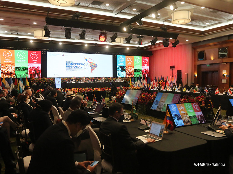 ©FAO/Max Valencia