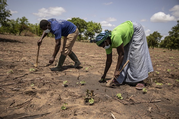 ©FAO/Olympia de Maismont