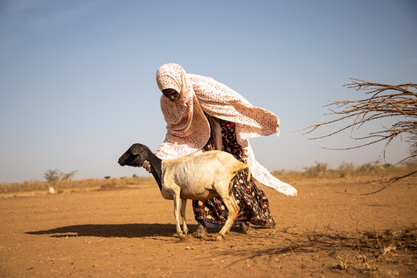 © FAO/Michael Tewelde