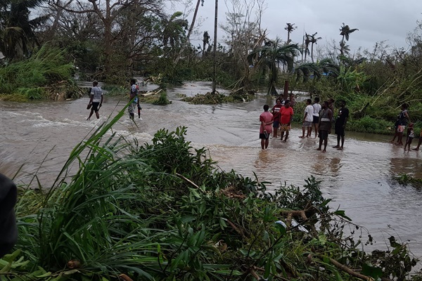 ©FAO/Vanuatu