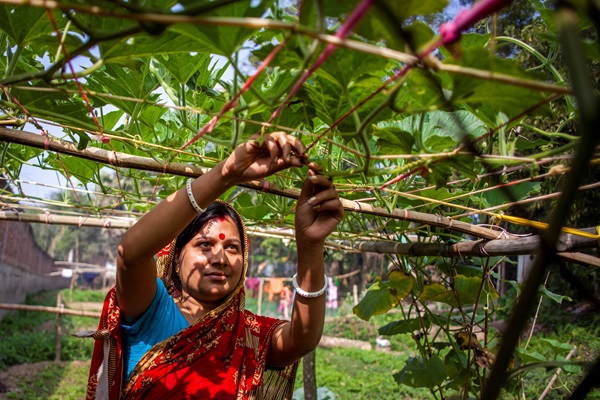 HIH BANGLADESH
