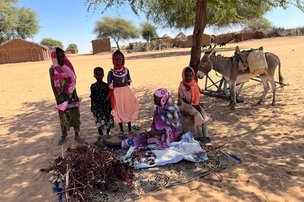 ©FAO/Eilaf Abdelbasit