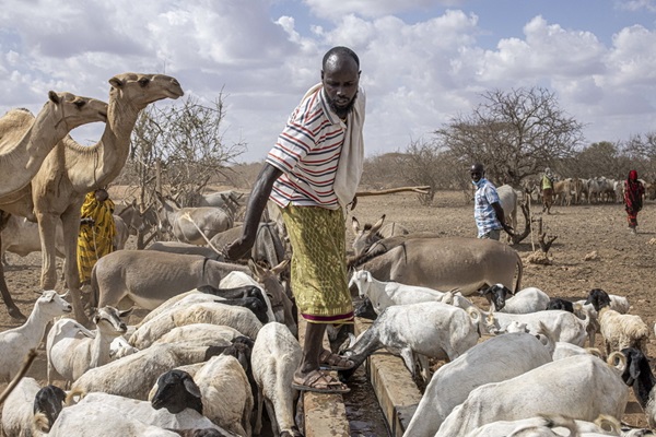 ©FAO/Patrick Meinhardt