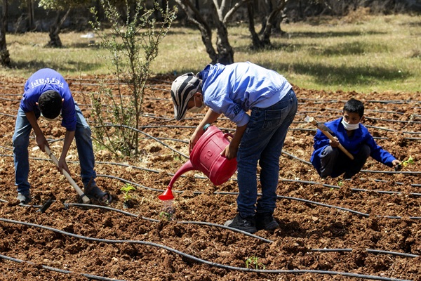 © FAO/Sheam Kaheel