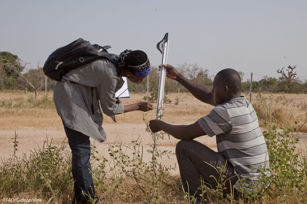 ©FAO/Gideon Vink
