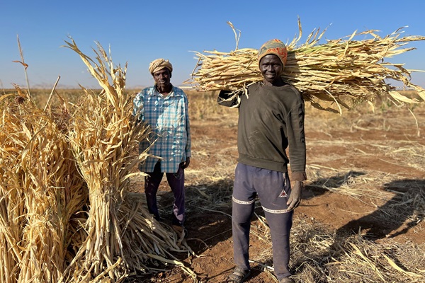 ©FAO/Eilaf Abdelbasit