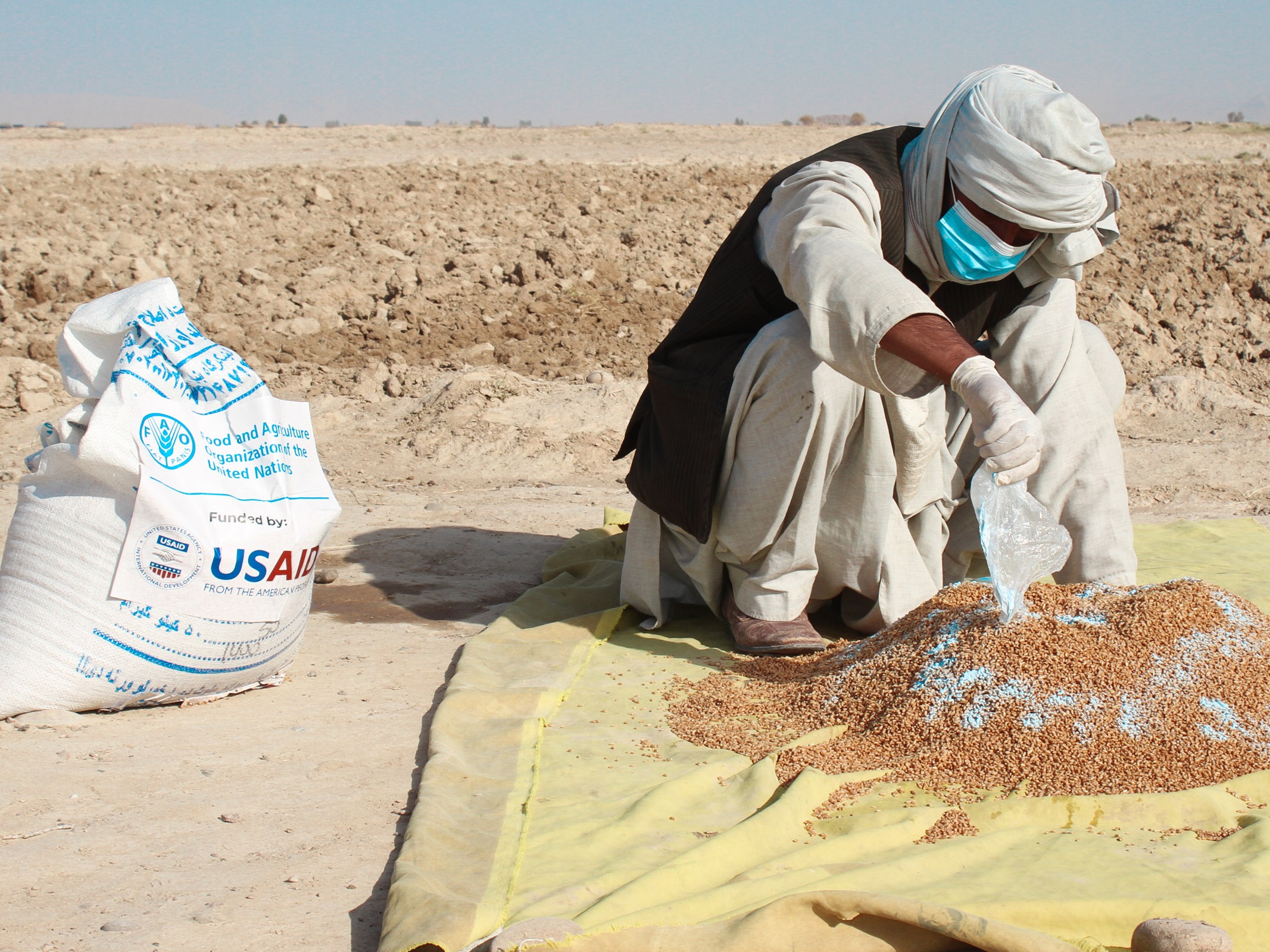 ©FAO/Hashim Azizi