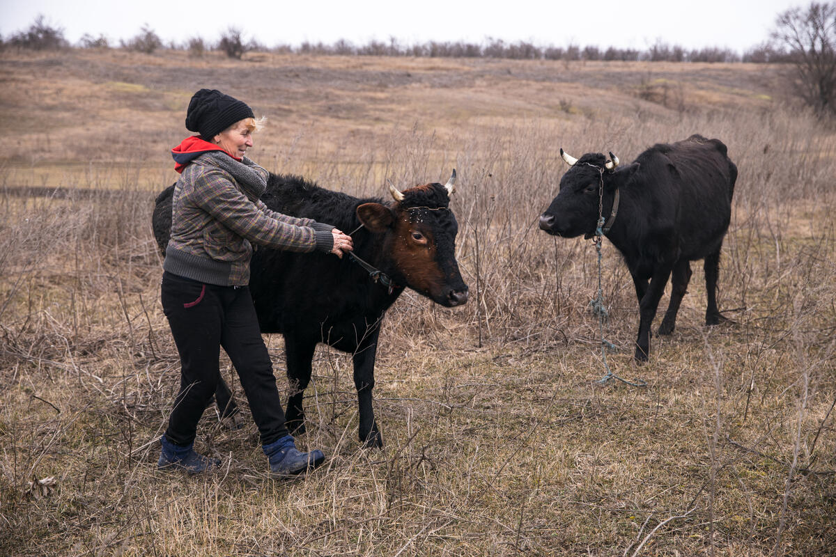 © FAO /Anastasiia Borodaenko