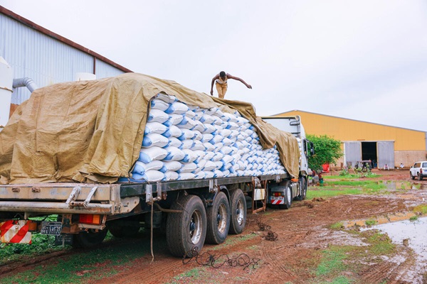 ©FAO/Mahmoud Shamoruk