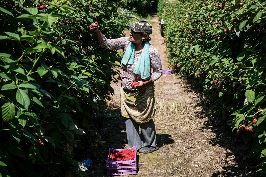 Living and breathing gastronomic traditions in Serbia