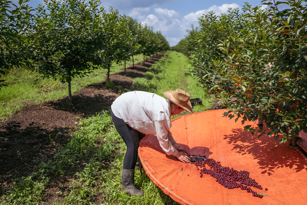 Living and breathing gastronomic traditions in Serbia