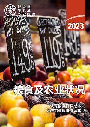 2023年粮食及农业状况