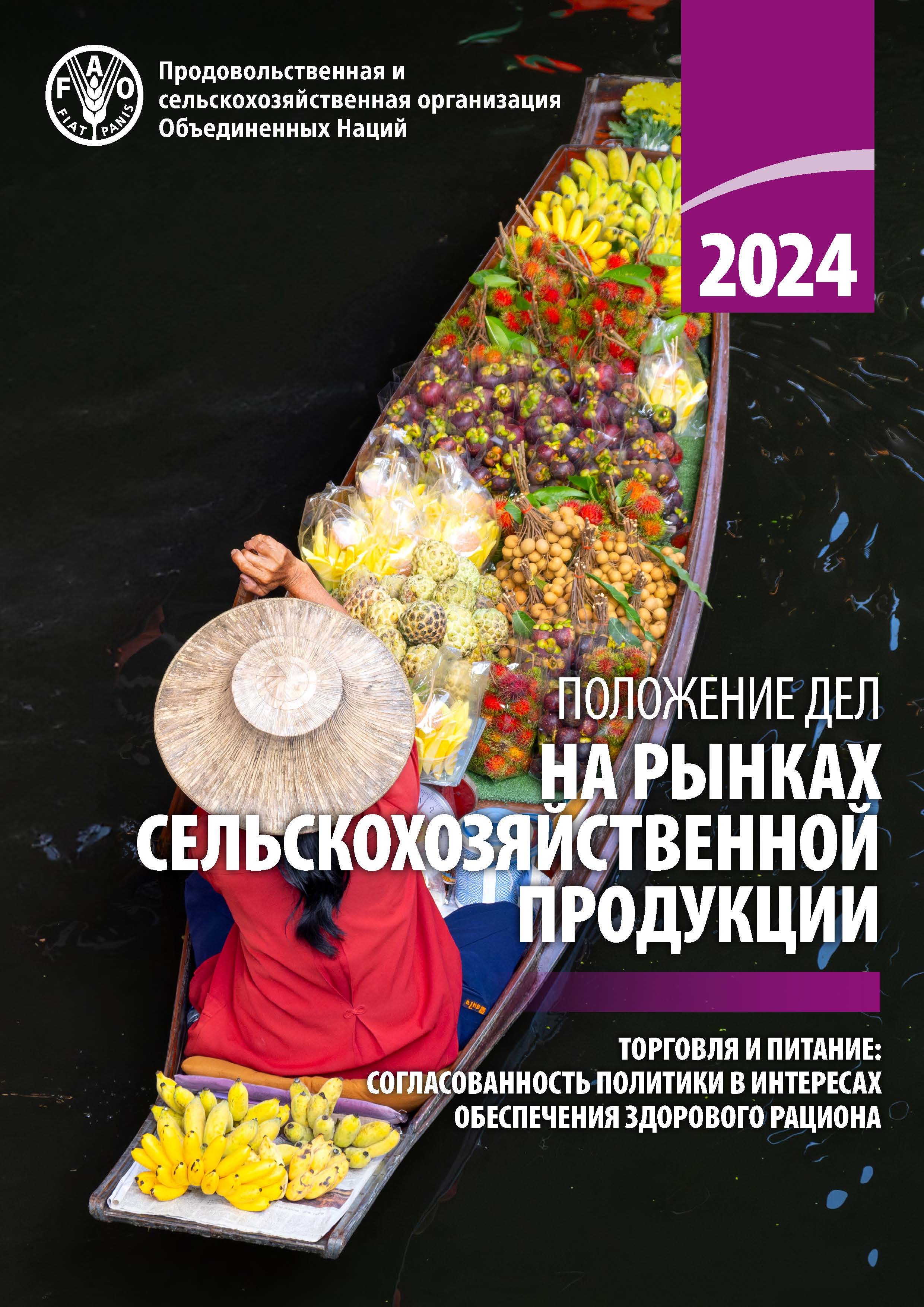 SOCO 2024 cover RU