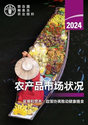 SOCO 2024 cover ZH