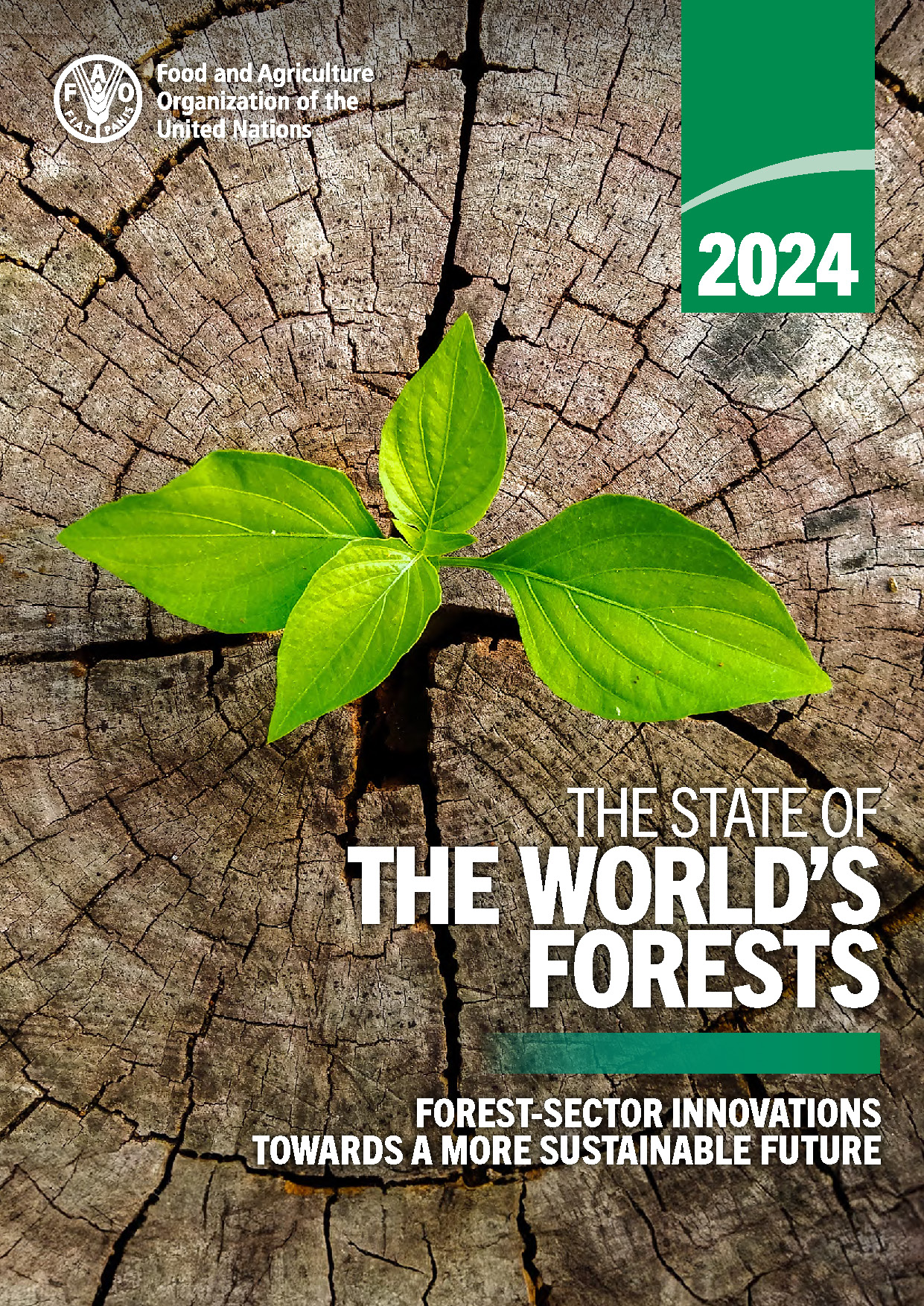 SOFO 2024 cover thumbnail