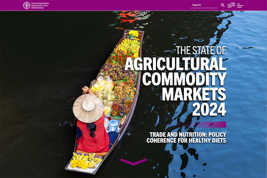 SOCO 2024 homepage