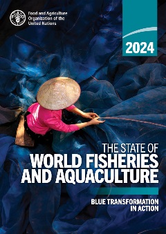 SOFIA 2024 thumbnail image