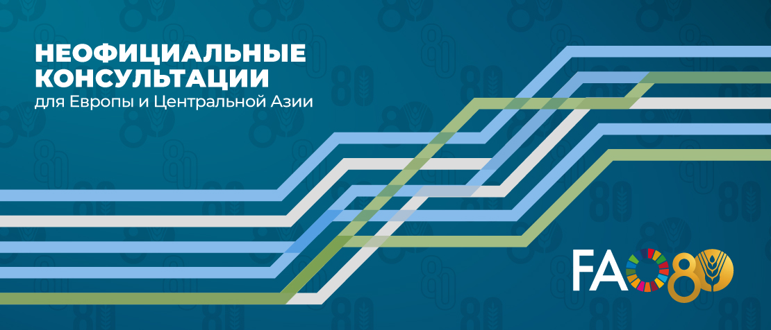 Неофициальные консультации для стран Европы и Центральной Азии 2025 года
