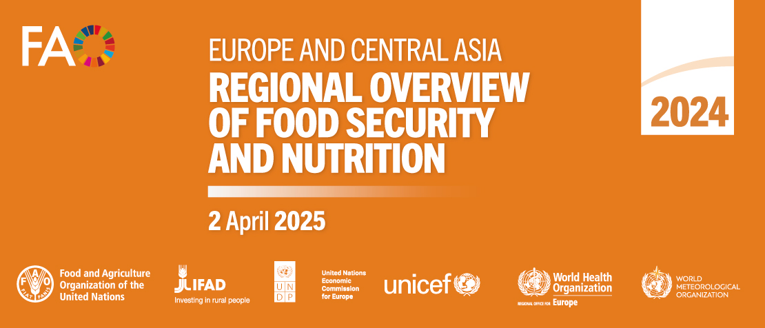 Launch of Regional Overview of Food Security and Nutrition in Europe and Central Asia 2024 report