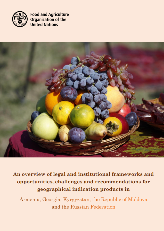 An overview of legal and institutional frameworks and opportunities.2018.ENG