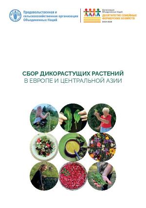 Сбор дикорастущих растений в Европе и Центральной Азии