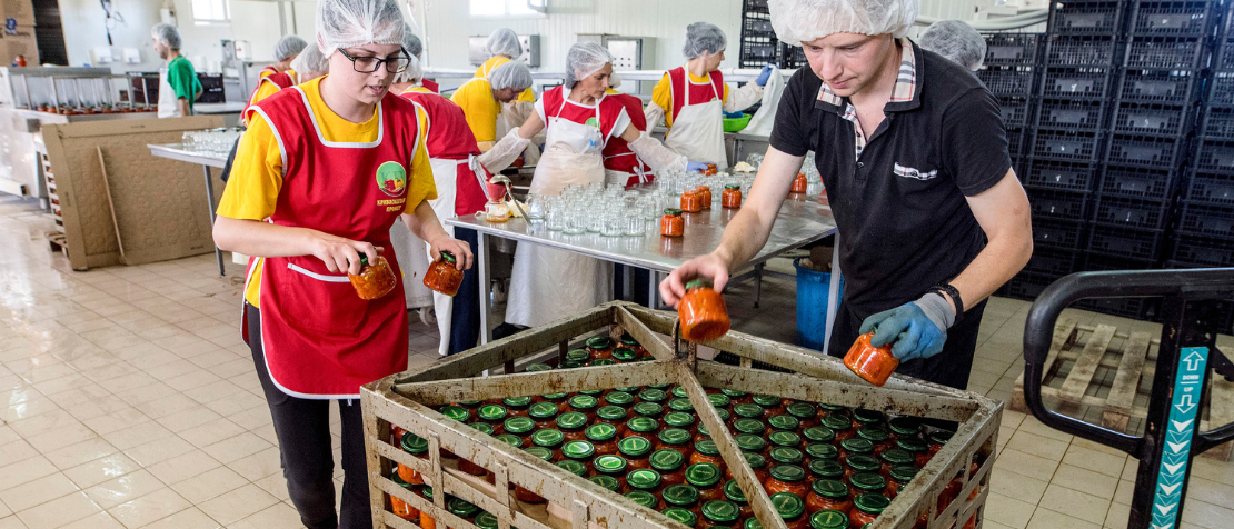 FAO and the Food and Veterinary Agency of North Macedonia promote Codex standards