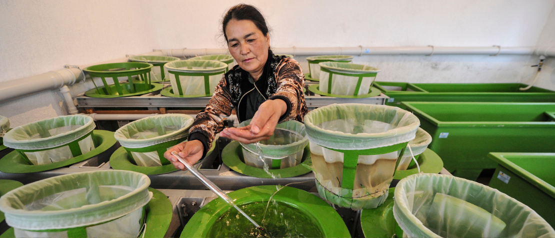 FAO assists in developing an aquaculture and fisheries workplace safety code for Central Asia and the Caucasus